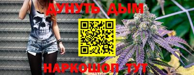 сатива Будённовск