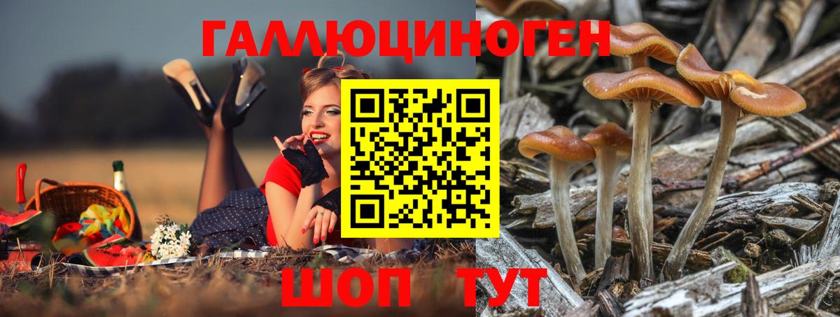 Псилоцибиновые грибы Psilocybine cubensis  что такое наркотик  Галлюциногенные грибы Psilocybine cubensis  Москва  Вход с VPN 